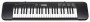 Синтезатор Casio CTK-240
