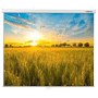 Экран для проектора Lumien Eco Picture 200х200 Matte White (LEP-100103)