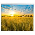 Экран для проектора Lumien Eco Picture 200х200 Matte White (LEP-100103) — фото 1 / 3