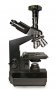 Микроскоп Levenhuk D870T