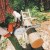 Бензопила Stihl MS 180 — фото 6 / 5