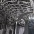 Встраиваемая посудомоечная машина Gorenje GV 51211 — фото 8 / 8