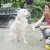 Портативная мойка Karcher Mobile Outdoor Cleaner OC 3  — фото 9 / 8