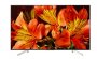 ЖК телевизор Sony KD-49XF8596