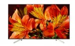 ЖК телевизор Sony KD-49XF8596 — фото 1 / 8