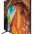 Телевизор Samsung QE55Q60RAUXRU — фото 5 / 6