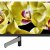 ЖК телевизор Sony KD-55XG8096BR  — фото 7 / 7