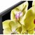 ЖК телевизор Sony KD-55XG8096BR  — фото 8 / 7