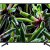 Телевизор Sony KD-65XG7096BR2 — фото 7 / 13
