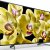 Телевизор Sony KD-75XG8096 — фото 3 / 10