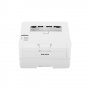Принтер Ricoh SP 230DNw