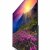 Телевизор TCL L55C8US — фото 4 / 7