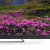 Телевизор TCL L55C8US — фото 6 / 7