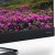 Телевизор TCL L55C8US — фото 8 / 7