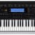 Синтезатор Casio WK-240 — фото 4 / 5