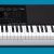 Синтезатор Casio WK-240 — фото 5 / 5