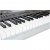 Синтезатор Casio WK-240 — фото 6 / 5
