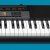 Синтезатор Casio CTK-2500 — фото 8 / 8