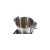 Мультиварка DeLonghi BabyMea — фото 14 / 13